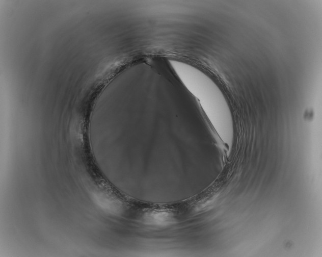 X0000090760643200708172048