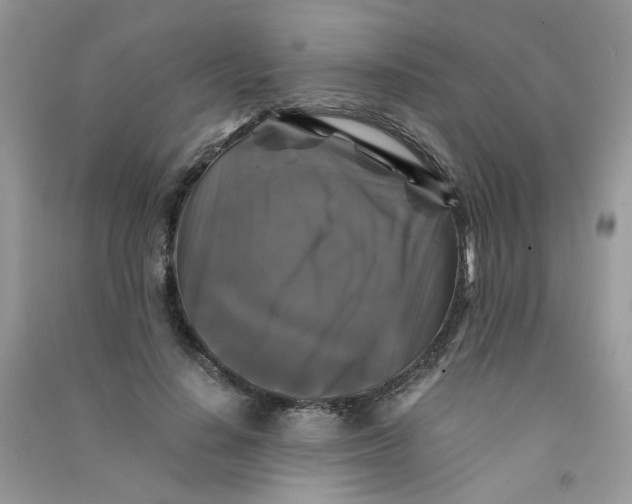 X0000090760644200708172048