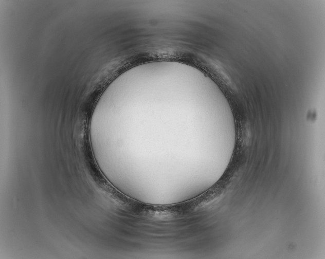 X0000090760645200708172048