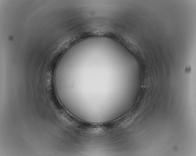 X0000090760646200708172048