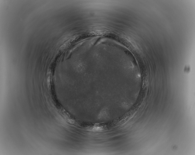 X0000090760647200708172048