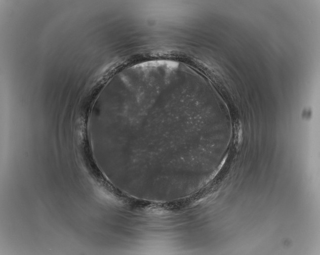 X0000090760648200708172048