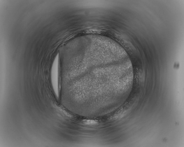 X0000090760649200708172048