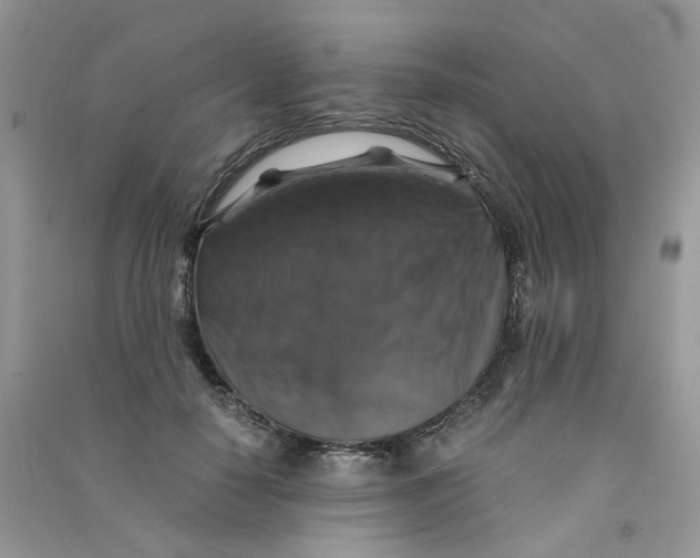 X0000090760650200708172048