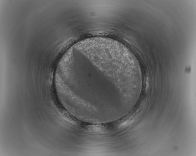 X0000090760652200708172048