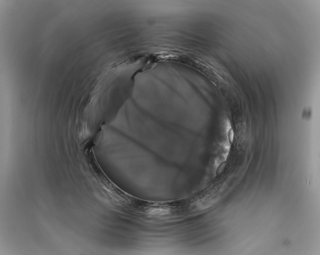 X0000090760653200708172048