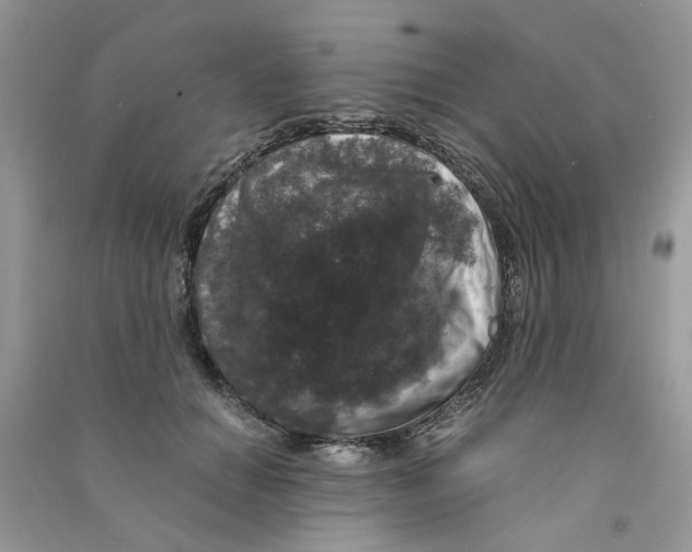 X0000090760654200708172048