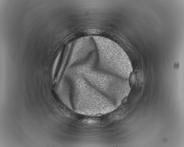 X0000090760655200708172048