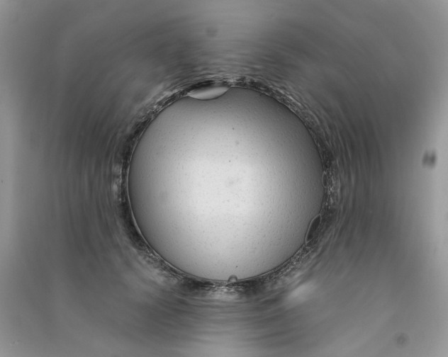 X0000090760656200708172048