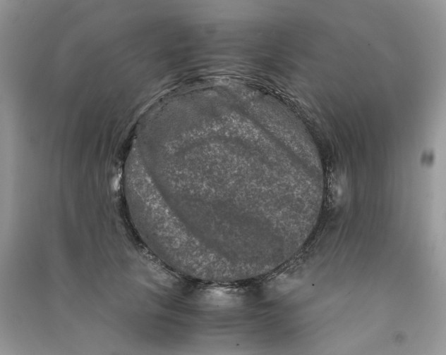 X0000090760657200708172048