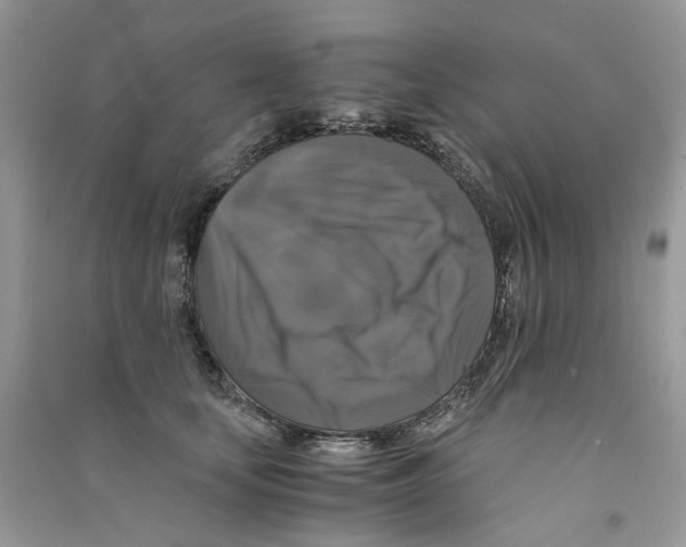 X0000090760659200708172048