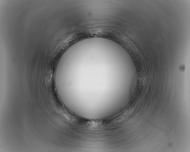 X0000090760660200708172049