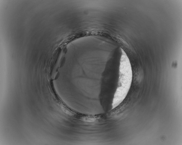 X0000090760661200708172049