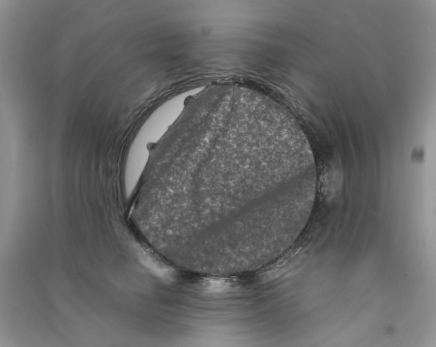 X0000090760662200708172049