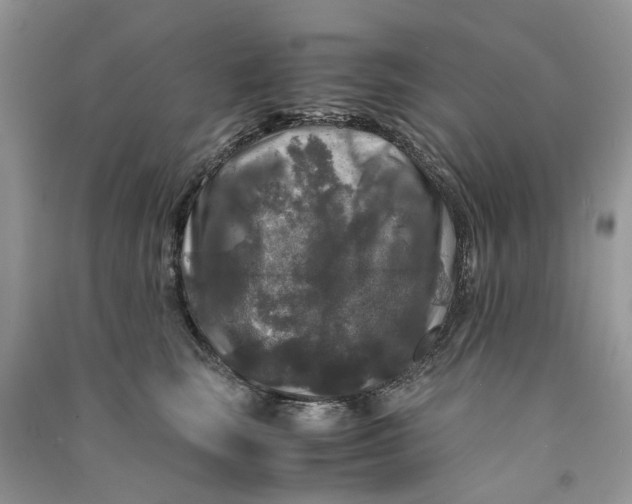 X0000090760663200708172049