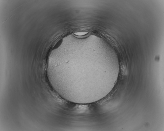 X0000090760665200708172049