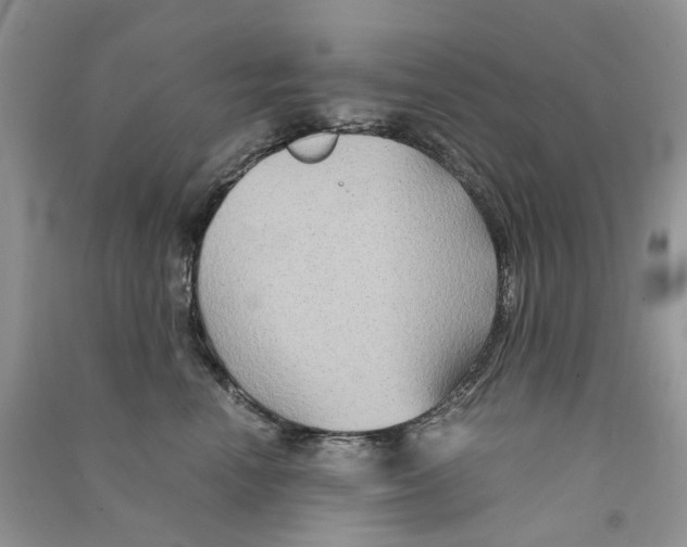 X0000090760666200708172049