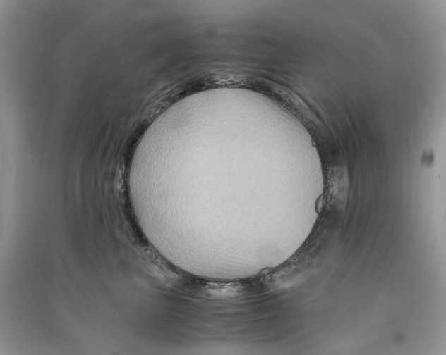 X0000090760667200708172049