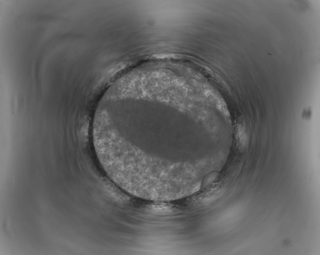 X0000090760668200708172049