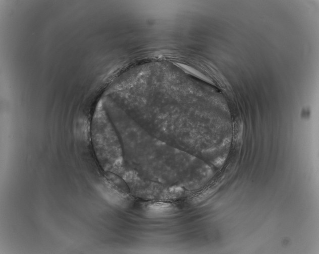 X0000090760669200708172049