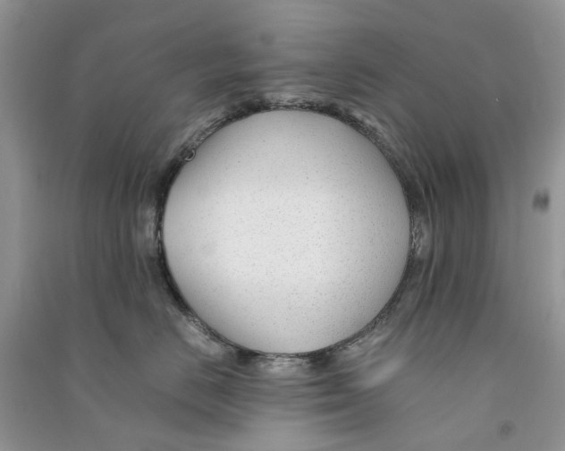 X0000090760670200708172049