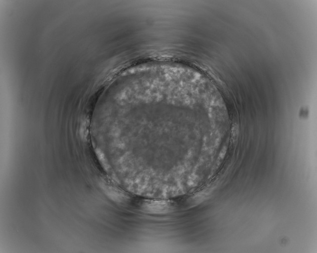 X0000090760671200708172049