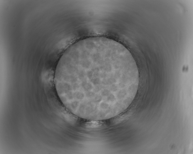 X0000090760672200708172049