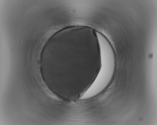 X0000090760673200708172048