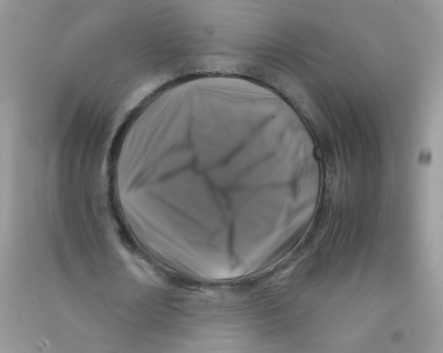 X0000090760674200708172048