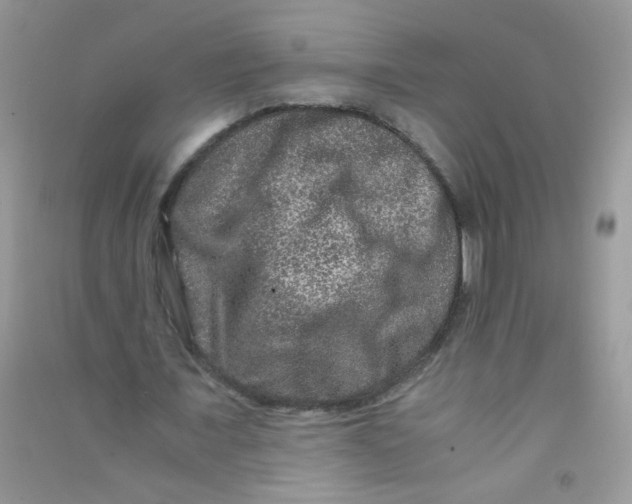 X0000090760675200708172048