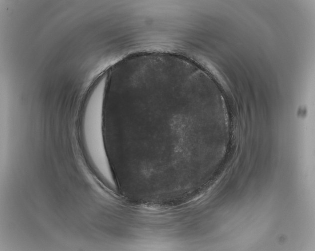 X0000090760677200708172048