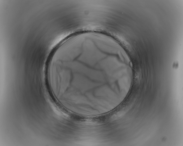 X0000090760678200708172048