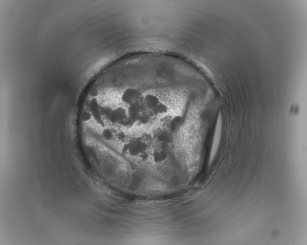 X0000090760679200708172048