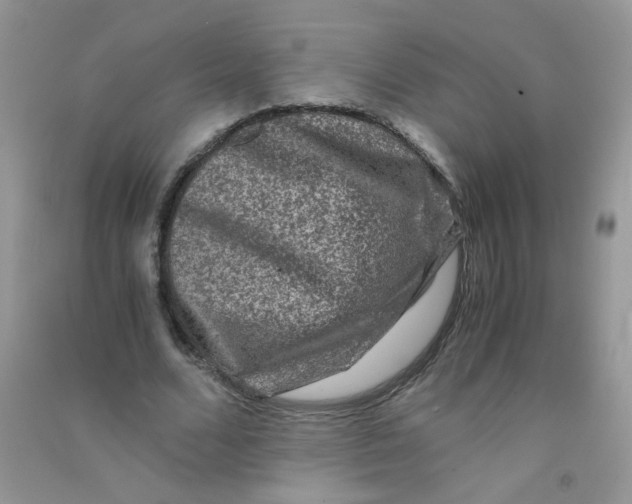 X0000090760680200708172048