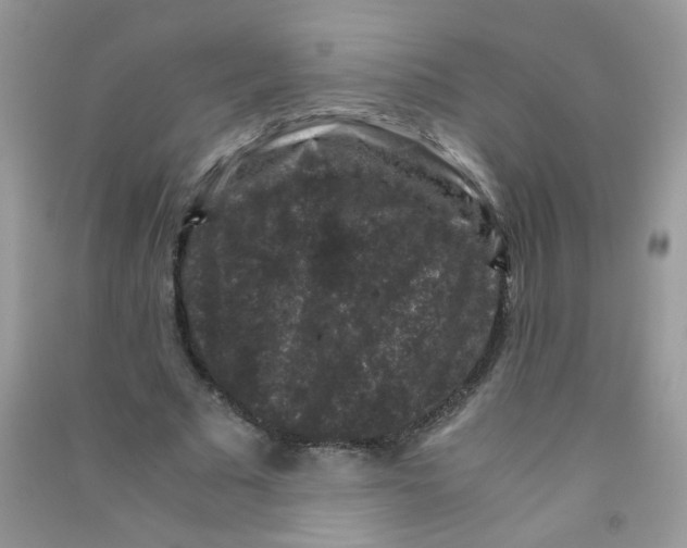 X0000090760681200708172048