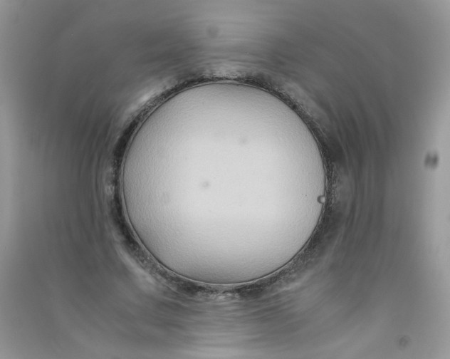 X0000090760683200708172048