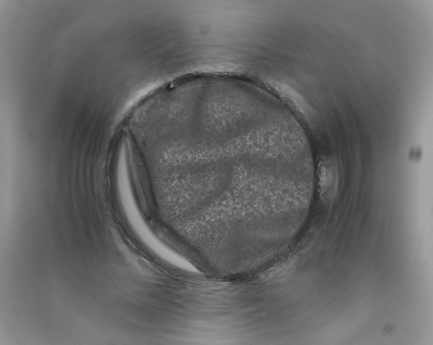 X0000090760684200708172048