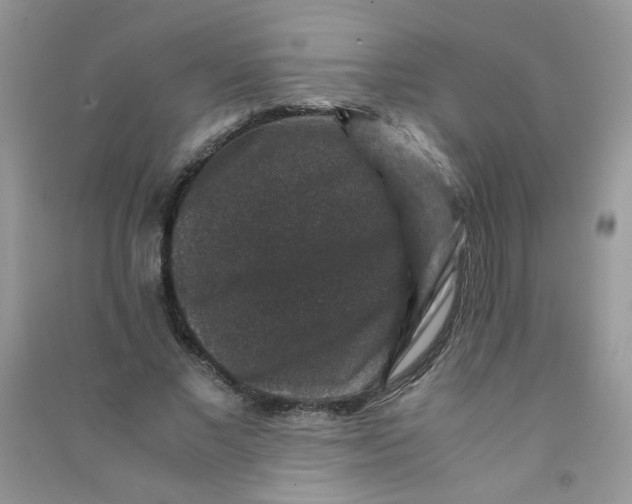 X0000090760685200708172048