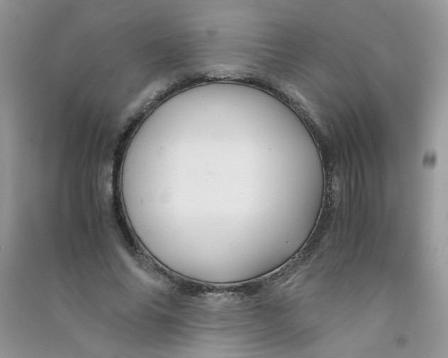 X0000090760686200708172048