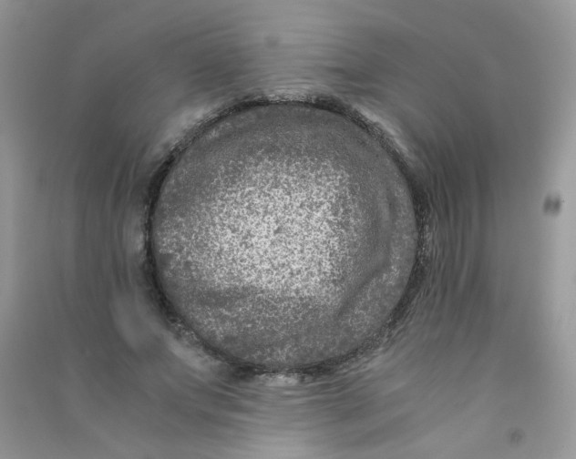 X0000090760687200708172048