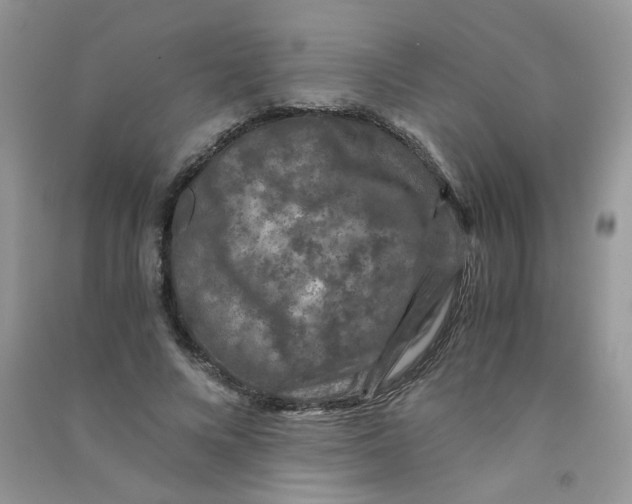 X0000090760688200708172048