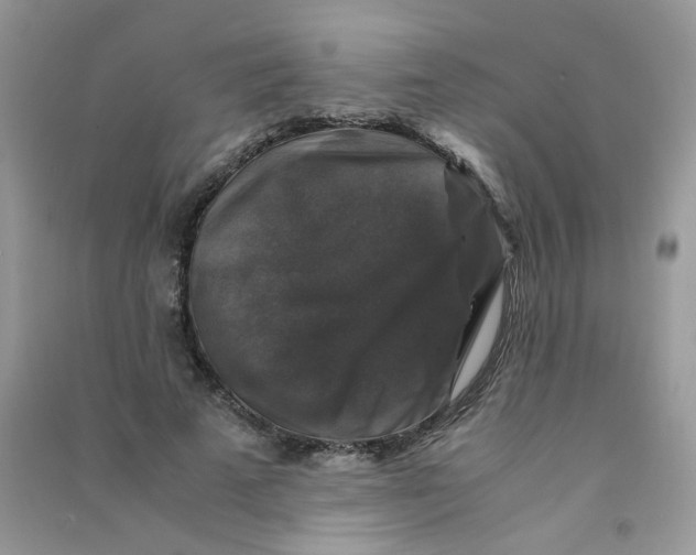 X0000090760689200708172048