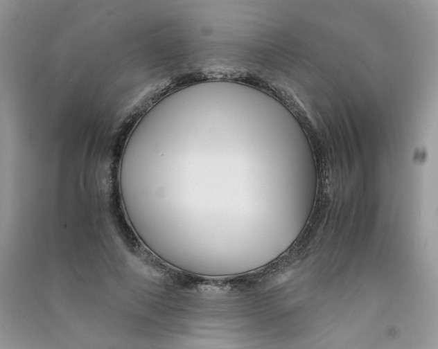 X0000090760690200708172048