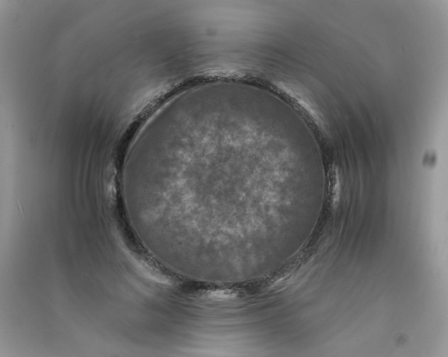 X0000090760692200708172048