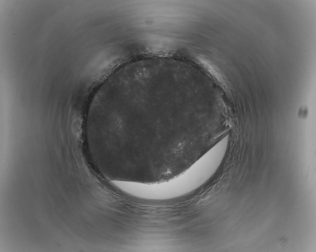 X0000090760693200708172048