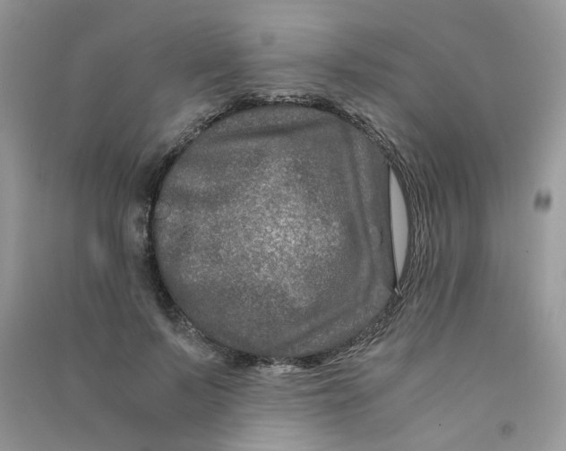 X0000090760695200708172048