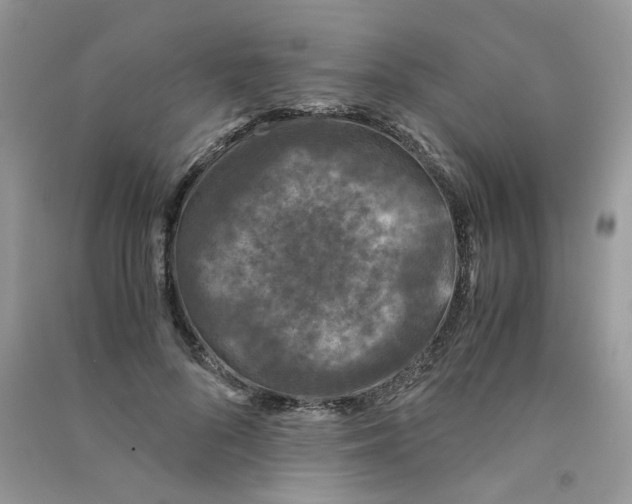 X0000090760696200708172048