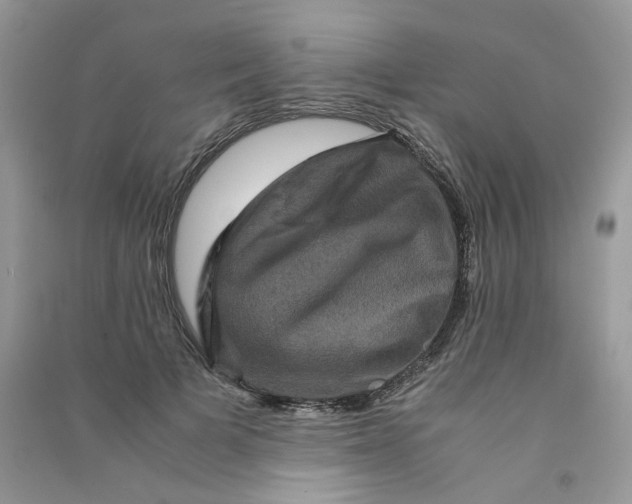 X0000090760697200708172048