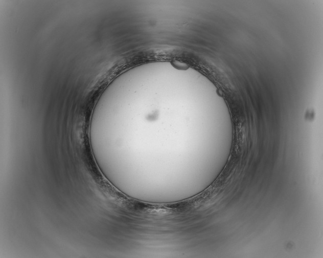 X0000090760698200708172048