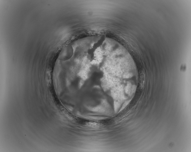 X0000090760699200708172048